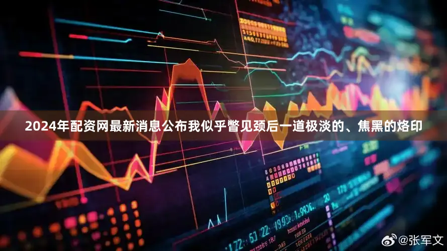 2024年配资网最新消息公布我似乎瞥见颈后一道极淡的、焦黑的烙印