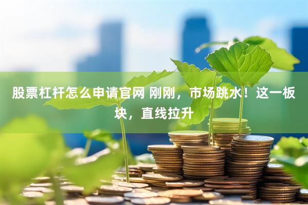 股票杠杆怎么申请官网 刚刚，市场跳水！这一板块，直线拉升