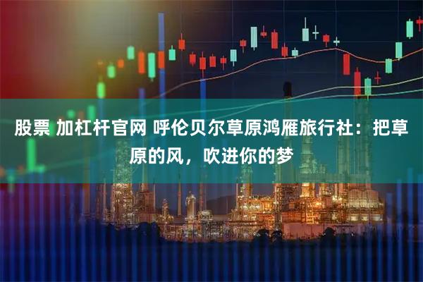 股票 加杠杆官网 呼伦贝尔草原鸿雁旅行社：把草原的风，吹进你的梦
